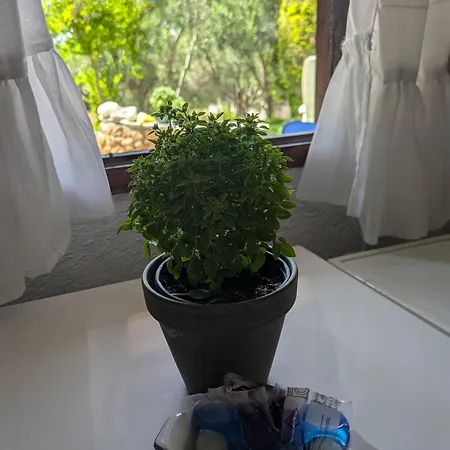 Holiday home το μικρό μας καλοκαίρι Metokhion Patriotikon